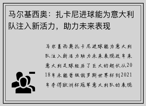 马尔基西奥：扎卡尼进球能为意大利队注入新活力，助力未来表现